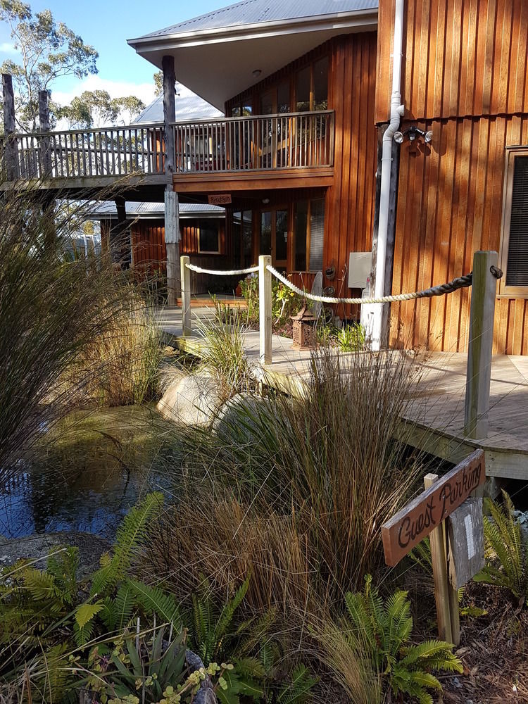 Bed In The Treetops B&B St Helens Εξωτερικό φωτογραφία